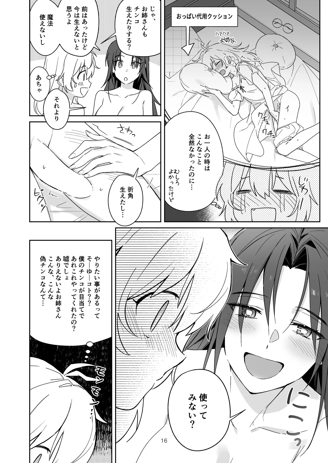 [Furuwata]Hikikomori no Onee-san wa Monotarinai!! Page 16