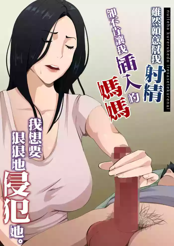[Daidai Shikibu]Nuite Kureru kedo Iresasete Kurenai kaasan wo Mechakucha ni Okashite Mitai[Chinese]
