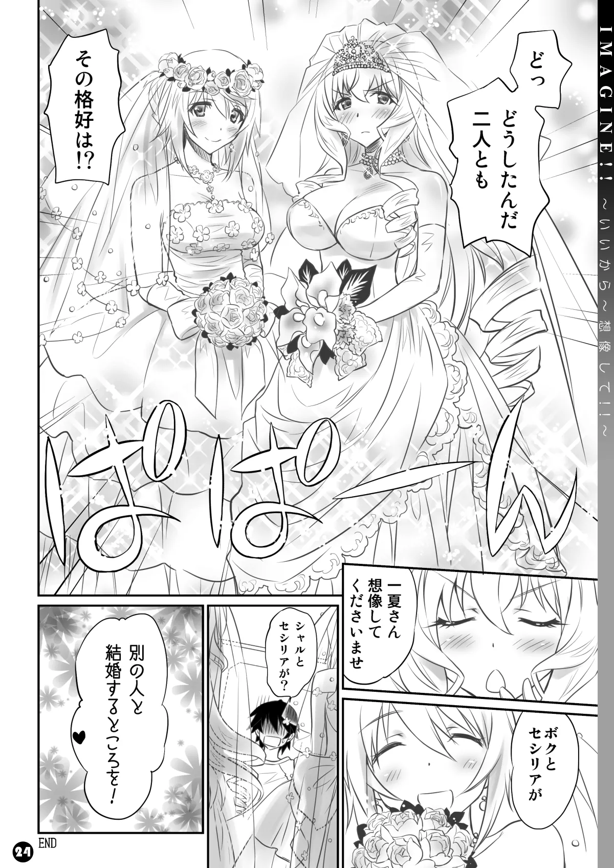 [Bloody Okojo (Mojyako, Caviar)]IMAGINE!! ~Iikara Souzou Shite!!~(IS <Infinite Stratos>) [Digital] Page 24