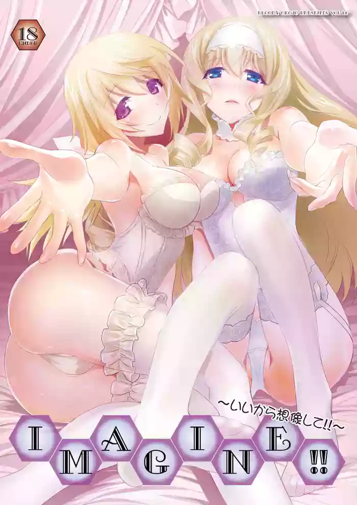 [Bloody Okojo (Mojyako, Caviar)]IMAGINE!! ~Iikara Souzou Shite!!~(IS <Infinite Stratos>) [Digital]