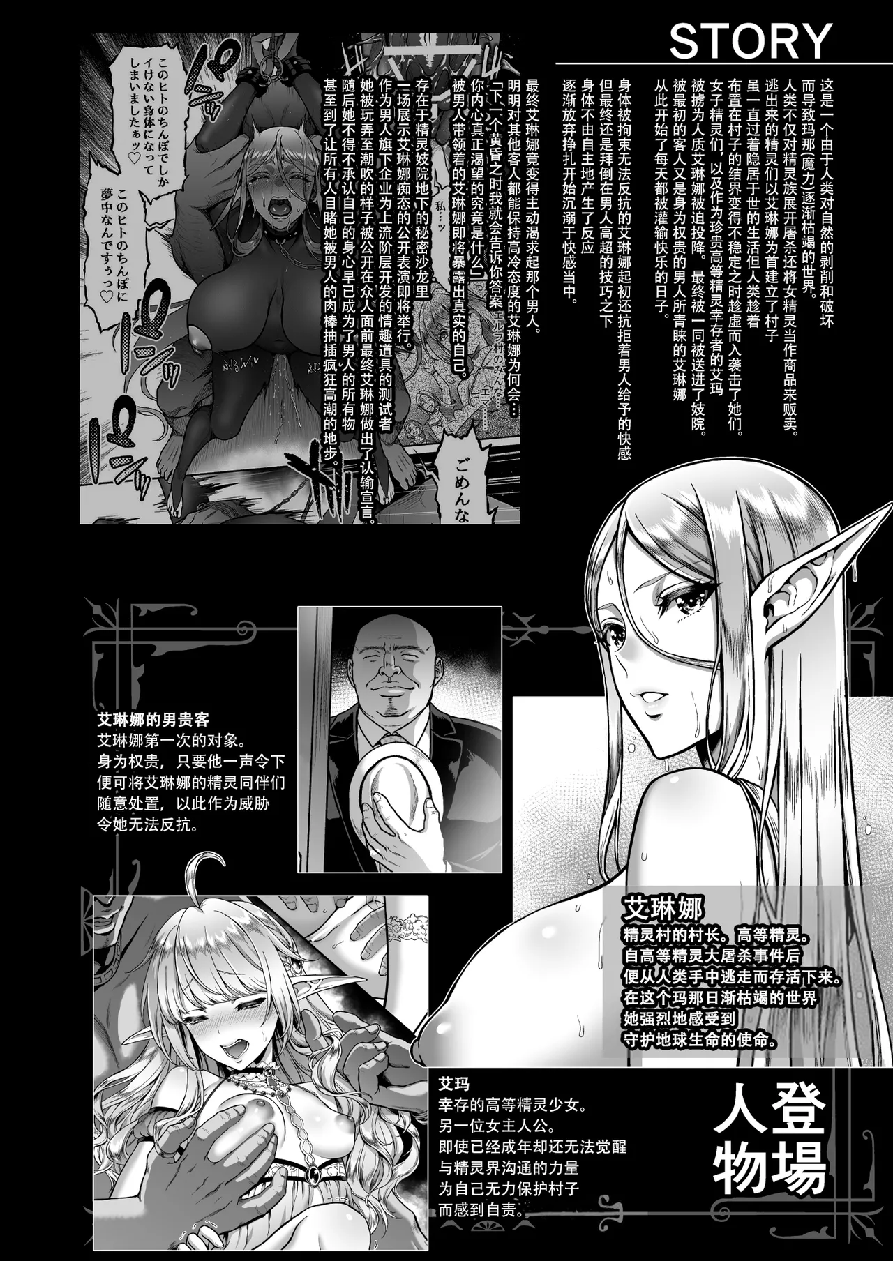 [H.B.A (Usagi Nagomu)]Tasogare no Shou Elf 9[Chinese] [佐道汉化组] [Decensored] [Digital] Page 4