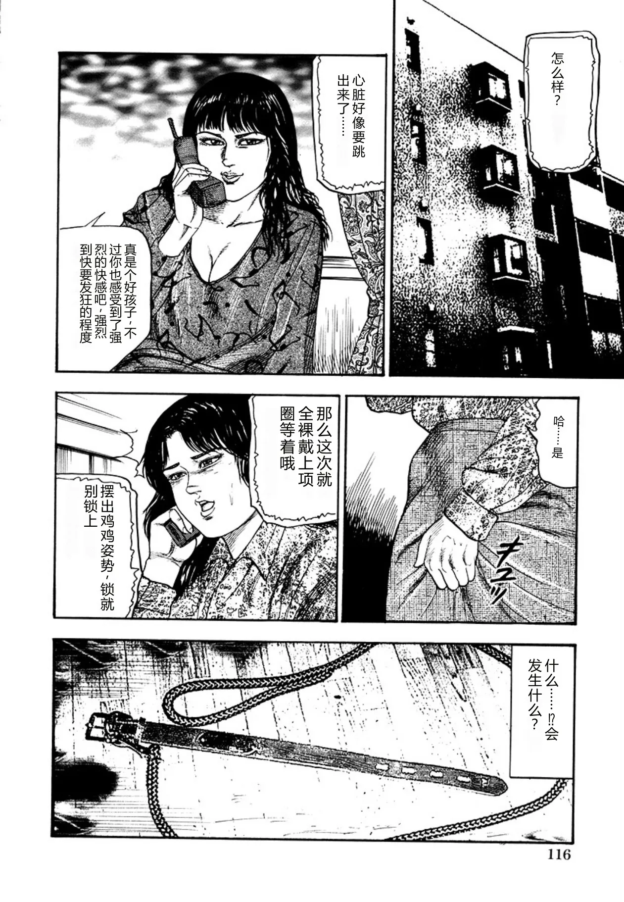 [Sanjou Tomomi]Seijuu Fujin[Chinese] [Digital] Page 118