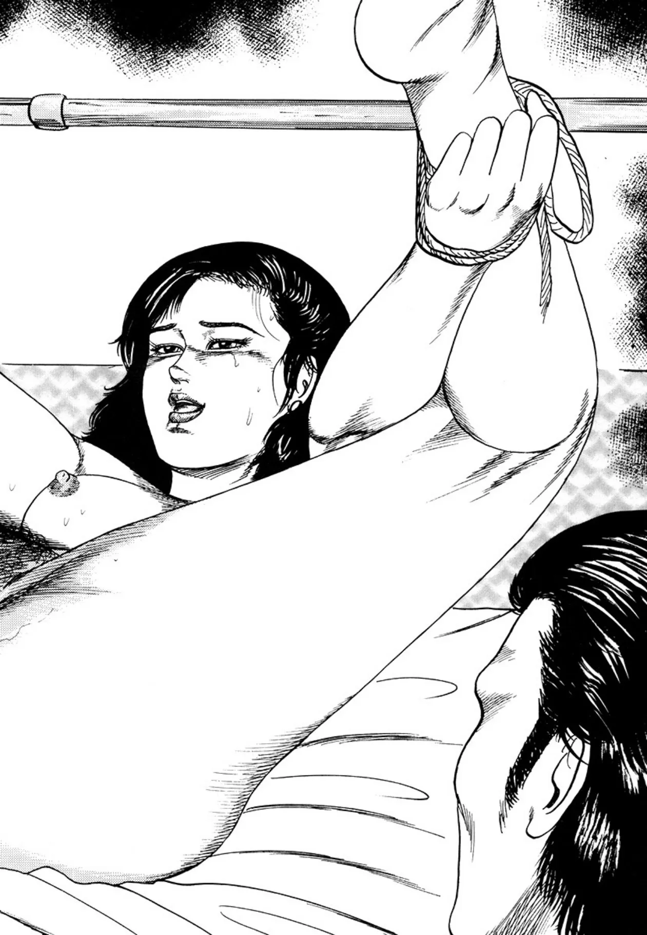 [Sanjou Tomomi]Seijuu Fujin[Chinese] [Digital] Page 14