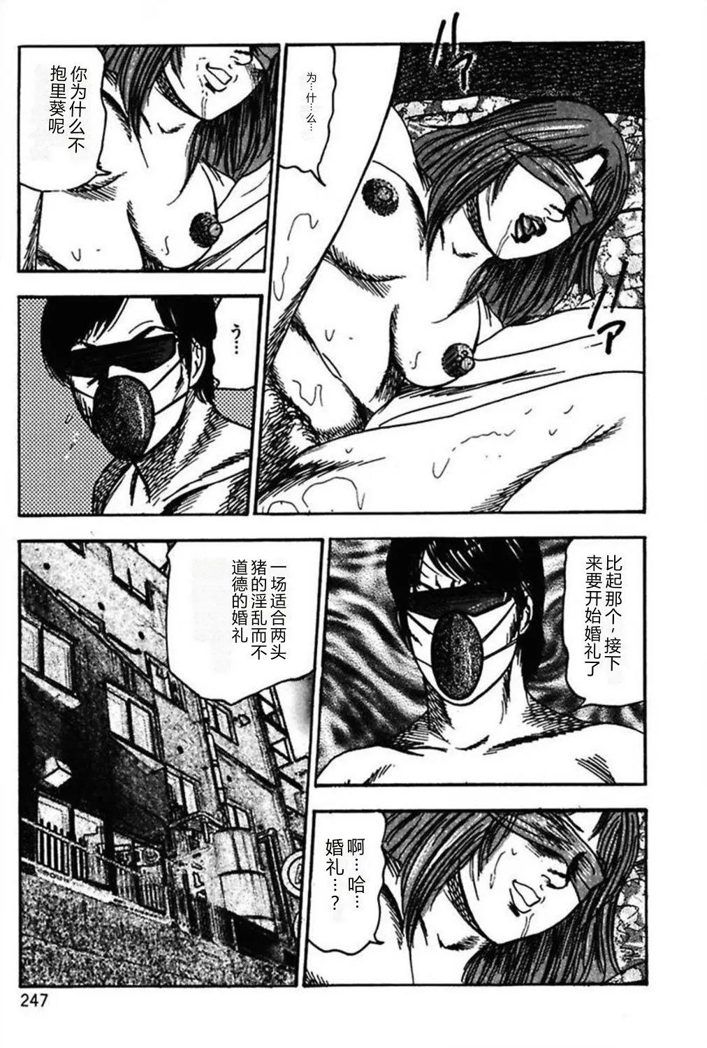 [Sanjou Tomomi]Niizuma No Shuuchi Play[Chinese] Page 249
