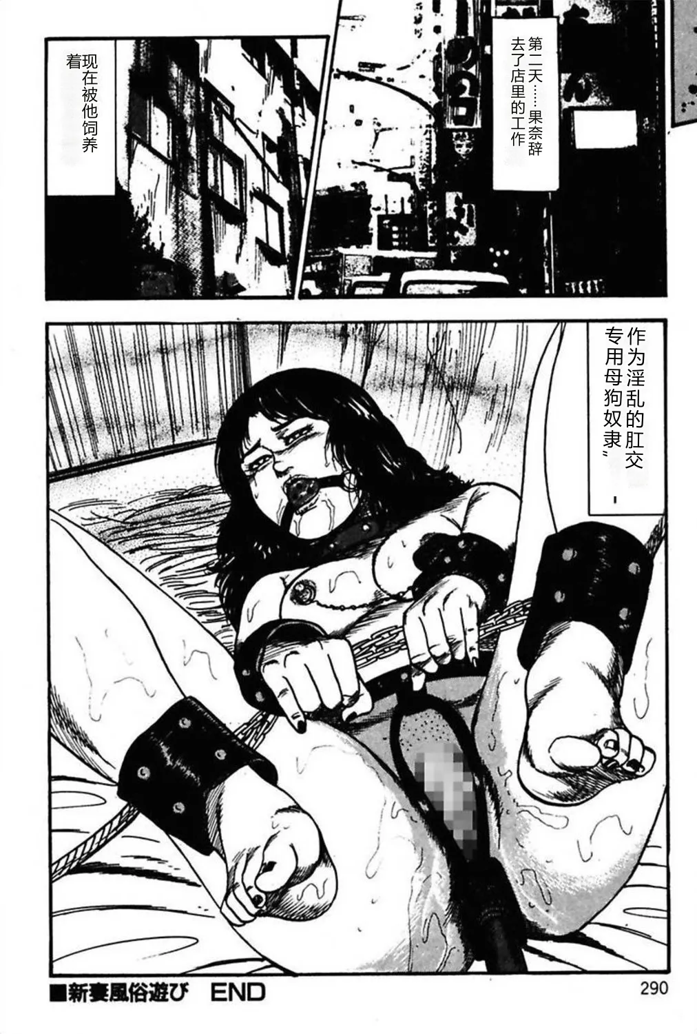 [Sanjou Tomomi]Niizuma No Shuuchi Play[Chinese] Page 292