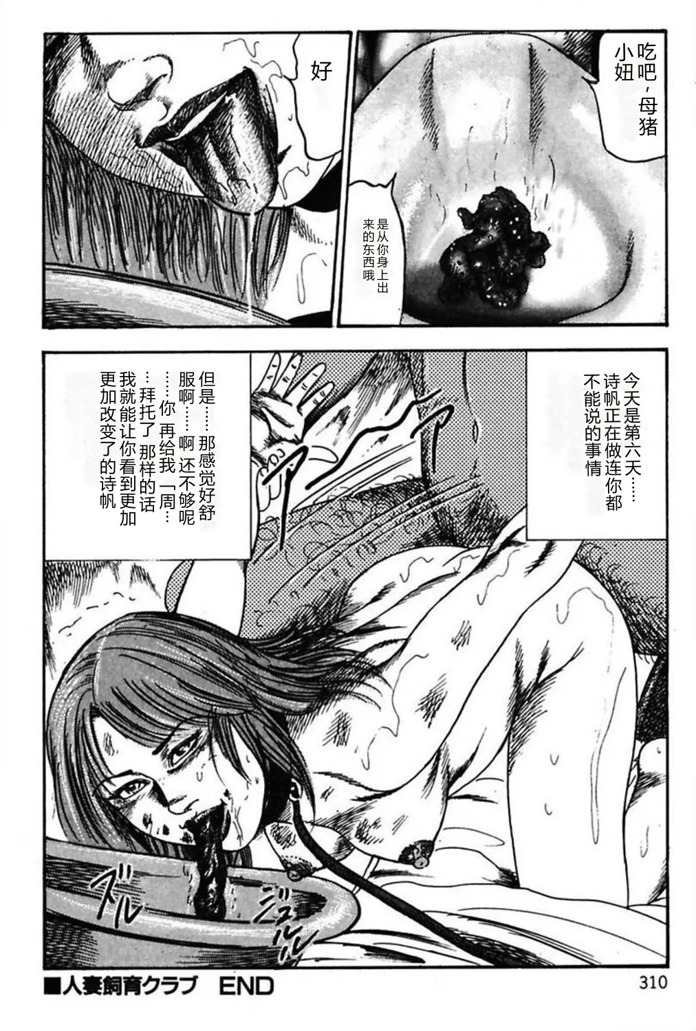 [Sanjou Tomomi]Niizuma No Shuuchi Play[Chinese] Page 312