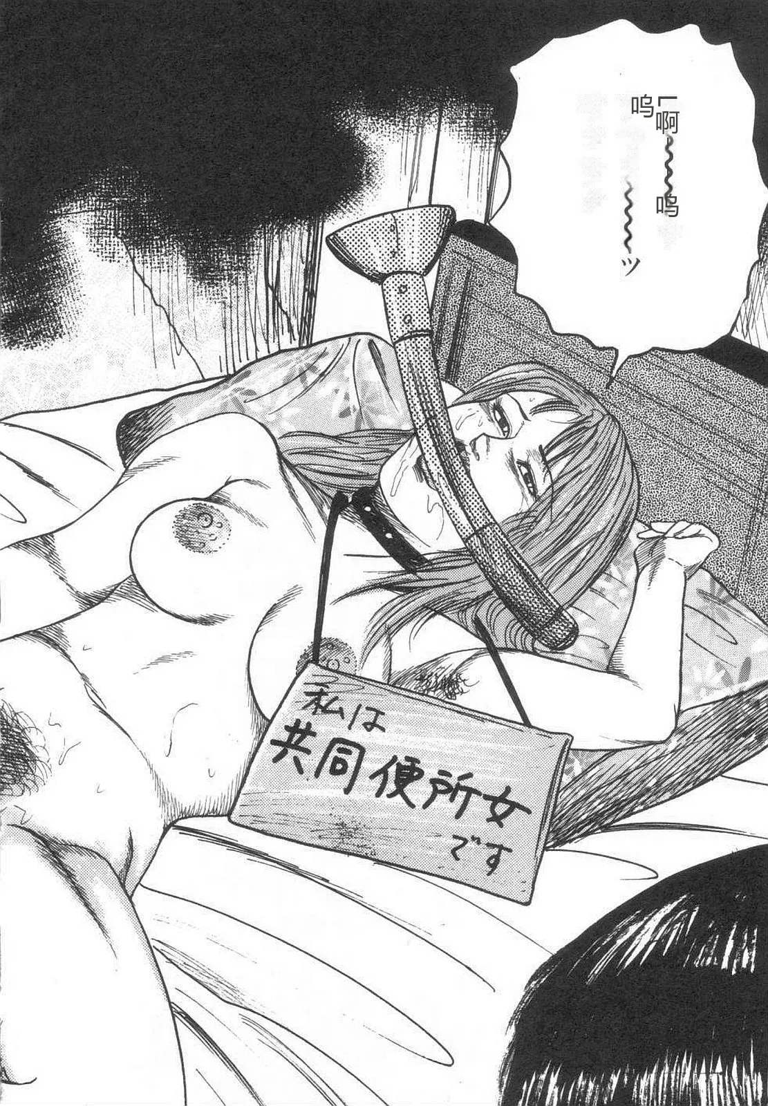 [Sanjou Tomomi]Bishoujo mesuinu Choukyou[Chinese] Page 217