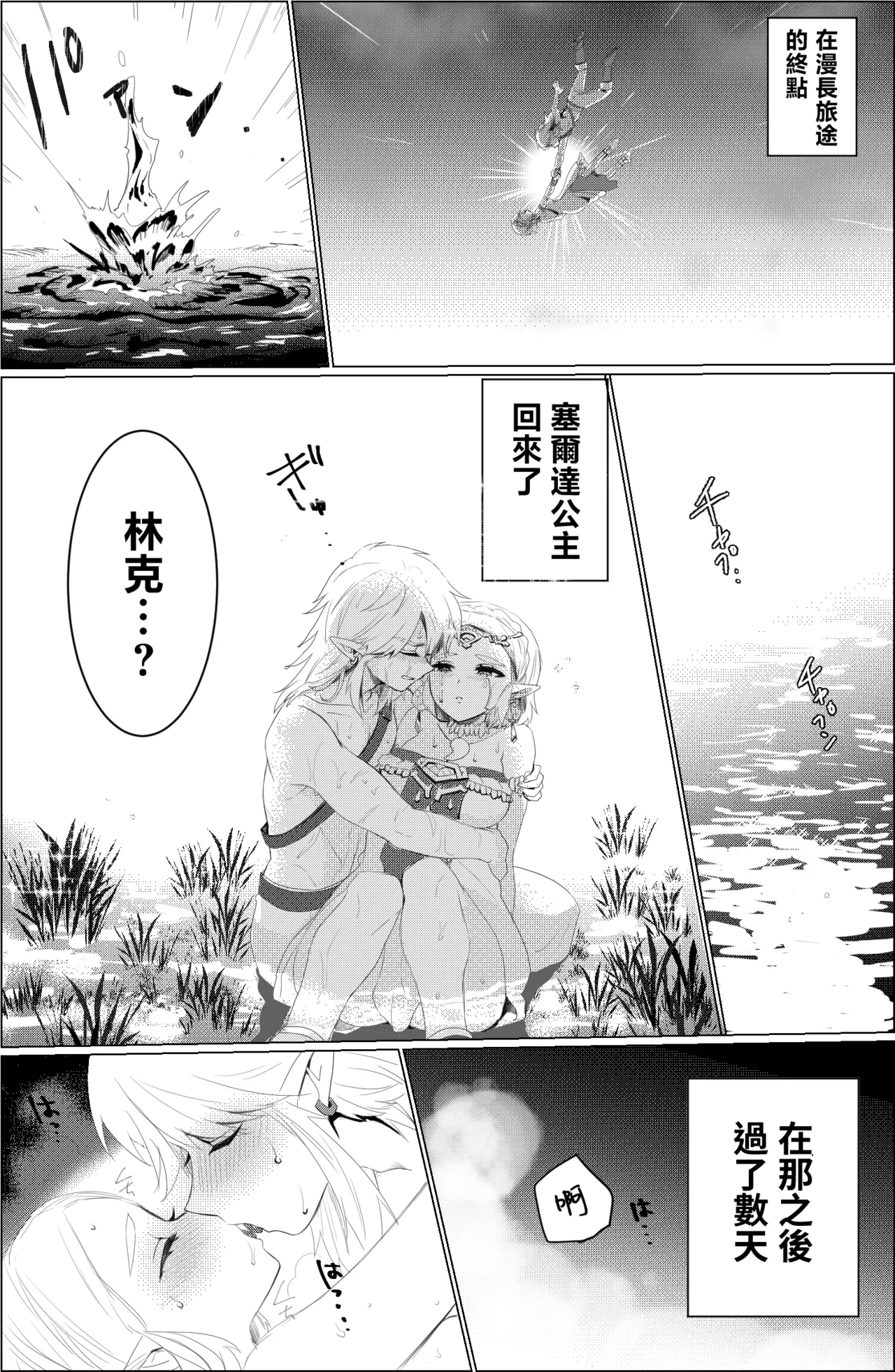 [Wasabi]Are no shufuku(The Legend of Zelda: Breath of the Wild) [Chinese] [沒有漢化] Page 3