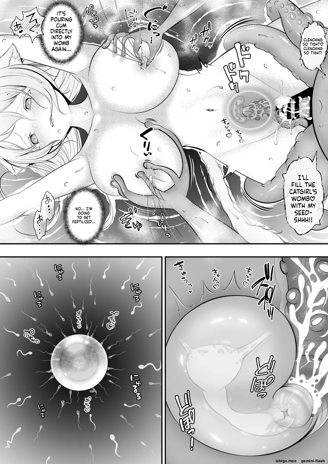 [Youidon]Nekomimi Musume no  Junan  Octopacus Shokushu Kangoku[English] [SCANMTL] Page 44