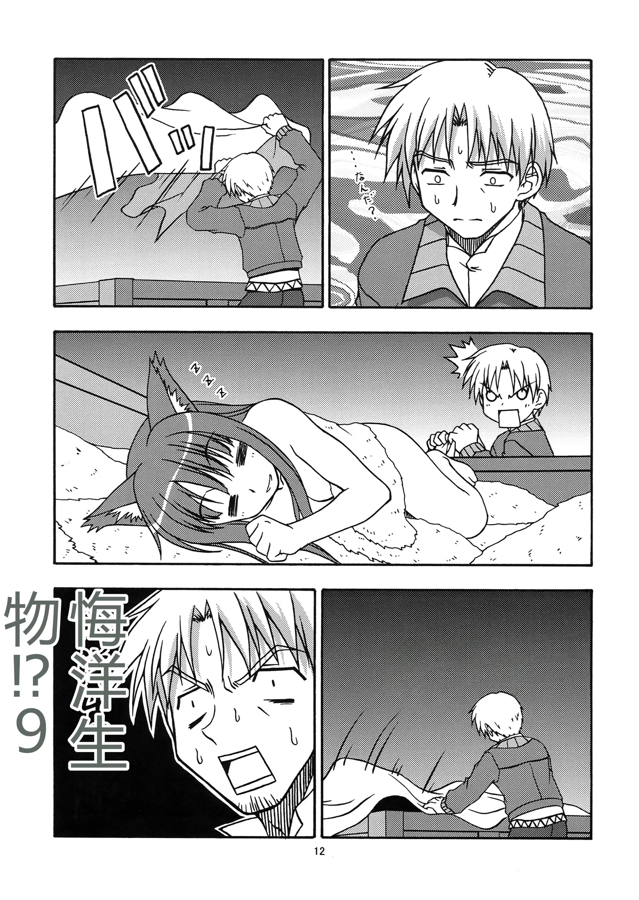 (SC39) [Circle Credit (Benjamin, Muichimon, NAL, Akikan)]Ookami to Mimi to Shippo(Spice and Wolf) [Chinese] [RATKING機翻] Page 11