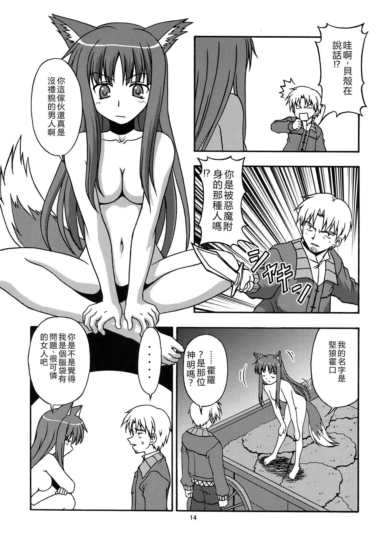 (SC39) [Circle Credit (Benjamin, Muichimon, NAL, Akikan)]Ookami to Mimi to Shippo(Spice and Wolf) [Chinese] [RATKING機翻] Page 13