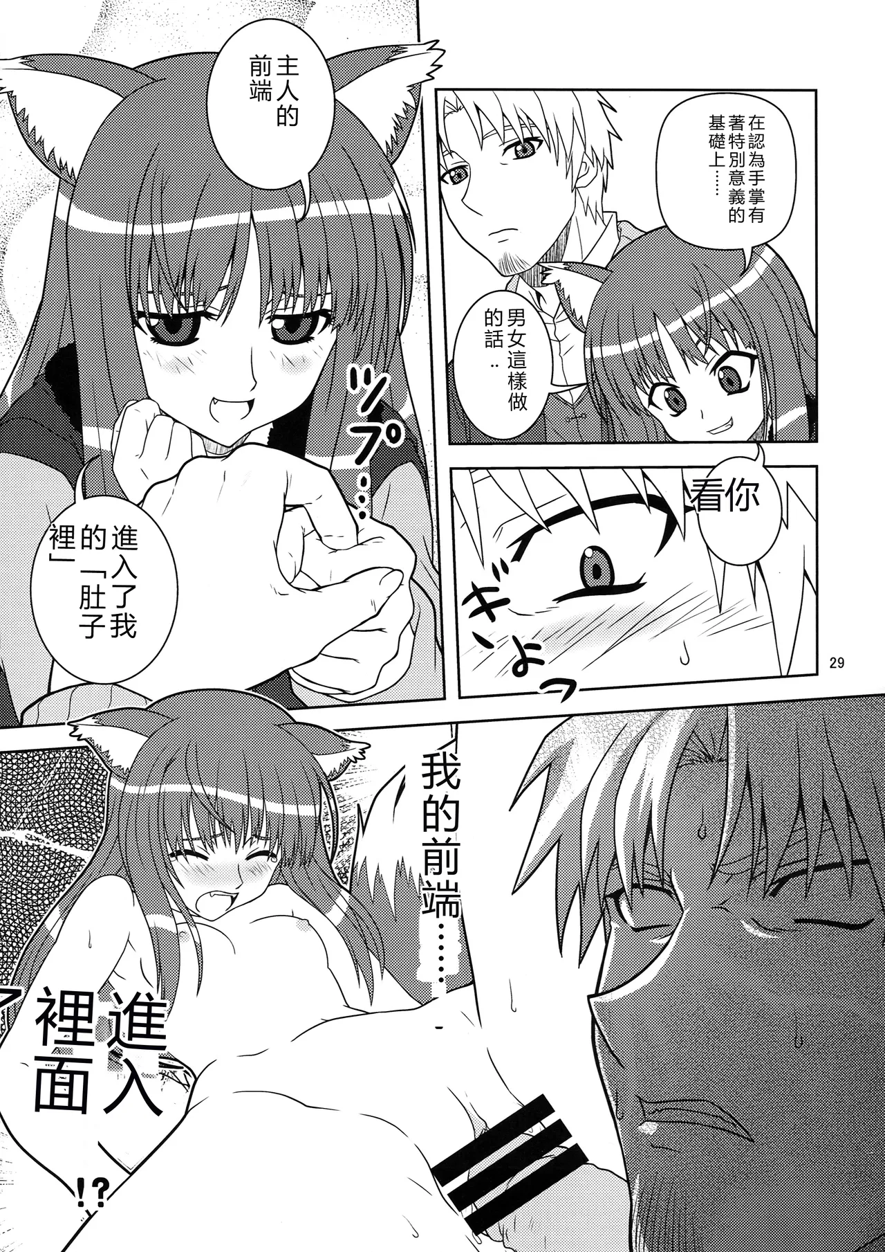 (SC39) [Circle Credit (Benjamin, Muichimon, NAL, Akikan)]Ookami to Mimi to Shippo(Spice and Wolf) [Chinese] [RATKING機翻] Page 27