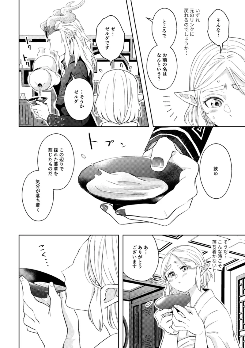 [Mau ̄]] Ryū No qī  [rinzeru])[The Legend of Zelda) Page 21