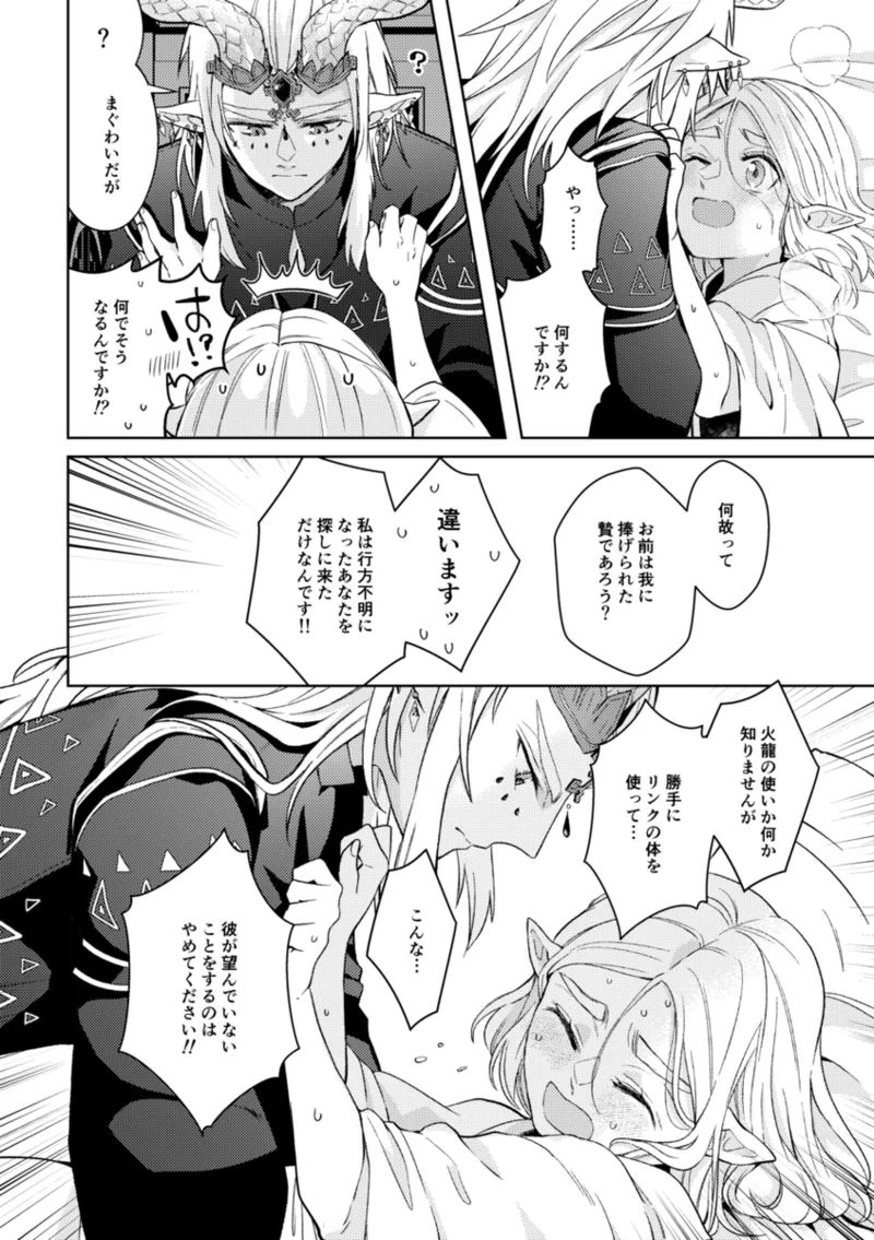 [Mau ̄]] Ryū No qī  [rinzeru])[The Legend of Zelda) Page 25